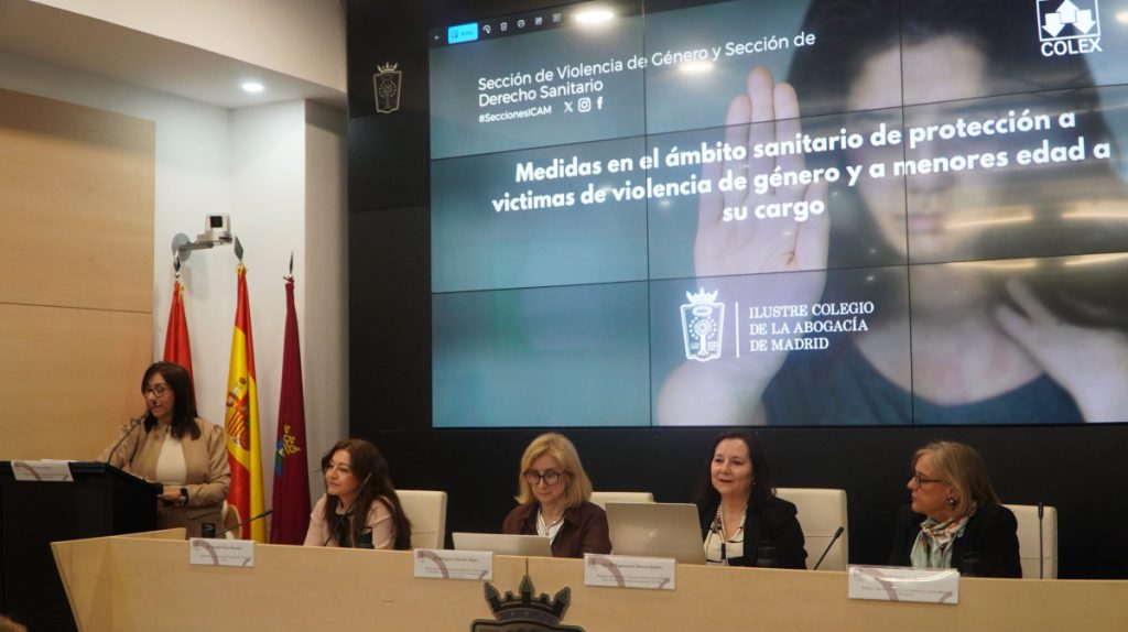 Las Secciones del ICAM abordan la protección sanitaria de víctimas de violencia de género y menores en una jornada conjunta